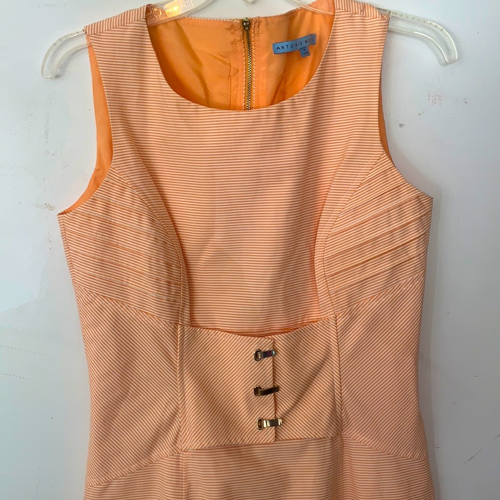 Antonio Melani Sleveless Dress